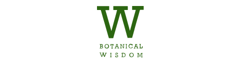 Client logo 5